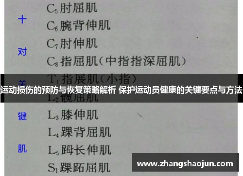 运动损伤的预防与恢复策略解析 保护运动员健康的关键要点与方法